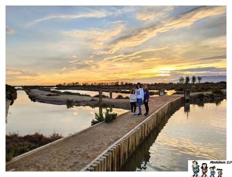 parque delta spain.